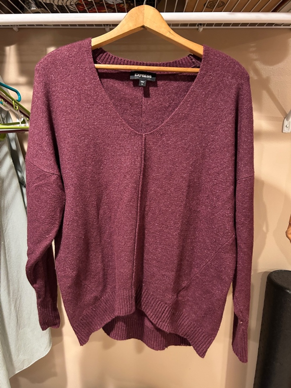 Express Plum V-Neck Sweater